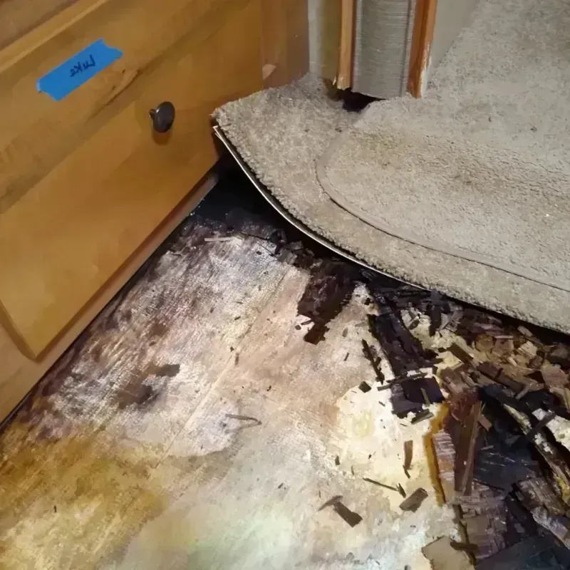 Wood Floor Water Damage in Iowa City, IA